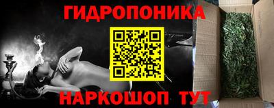 гашик Обь