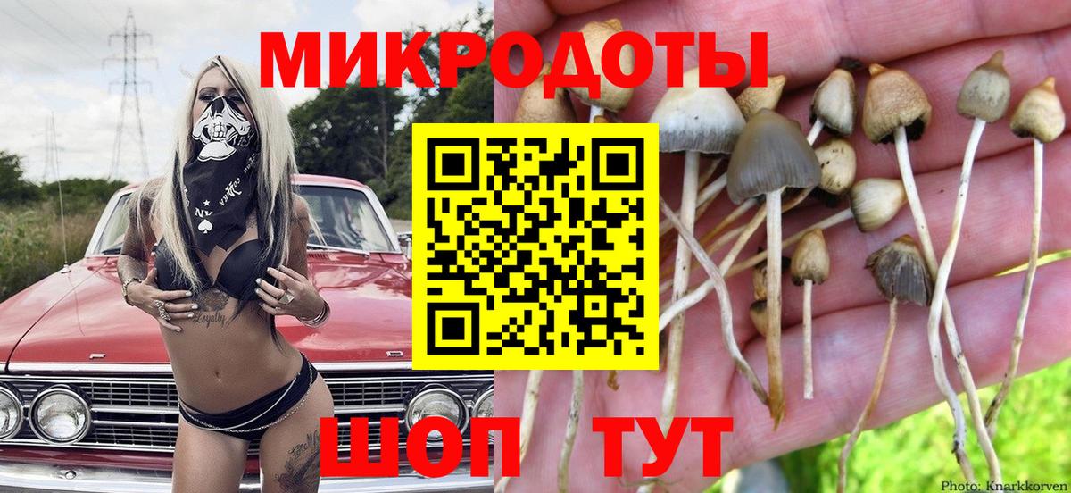 где найти   Галлюциногенные грибы прущие грибы  Галлюциногенные грибы GOLDEN TEACHER  Вход с VPN  Стерлитамак 